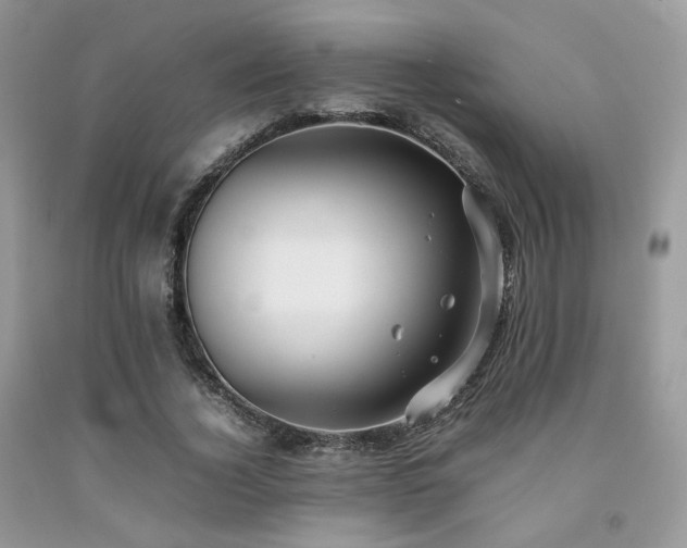 X0000092250732200709141147
