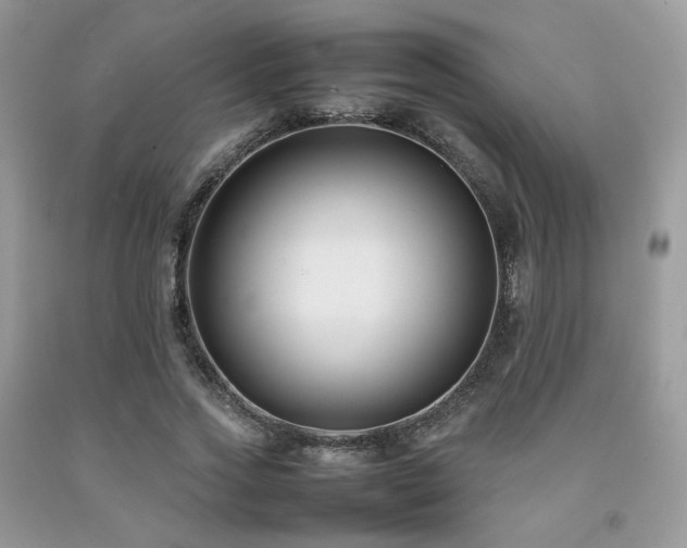 X0000092250733200709141147