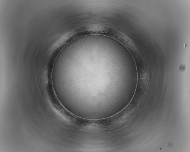 X0000092250734200709141147