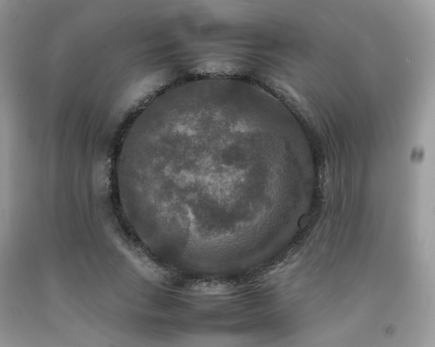 X0000092250735200709141147