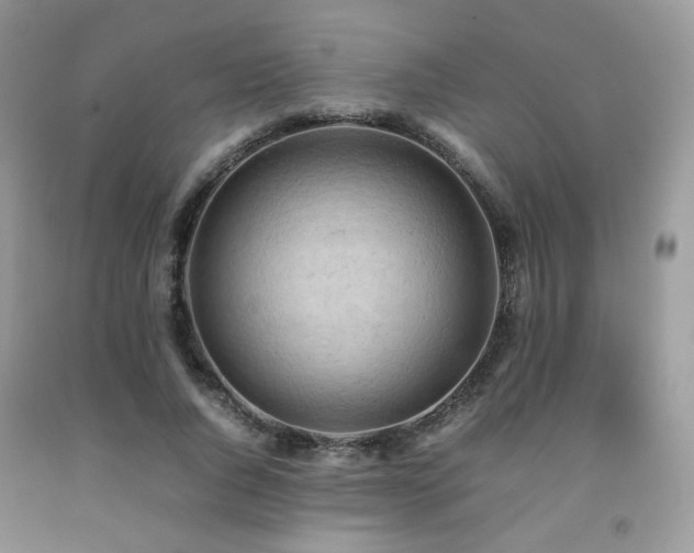 X0000092250736200709141147