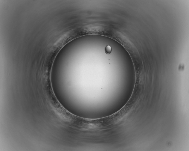 X0000092250737200709141147
