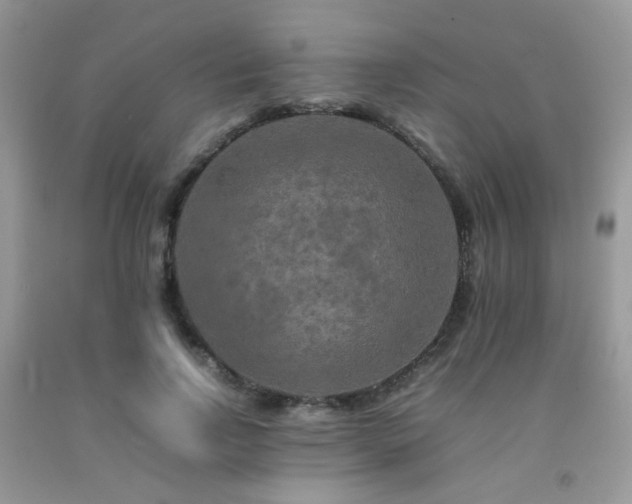 X0000092250742200709141147