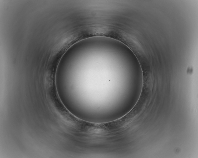 X0000092250743200709141147