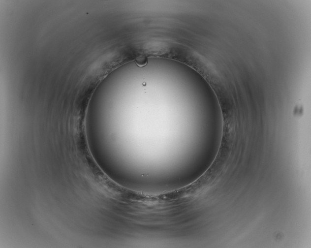 X0000092250745200709141147