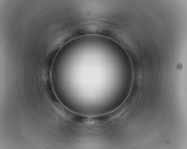 X0000092250746200709141148
