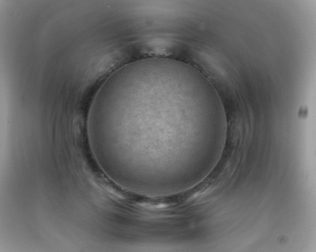 X0000092250747200709141148
