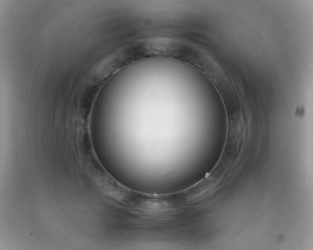 X0000092250749200709141148