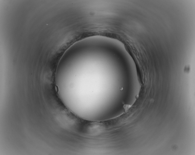 X0000092250750200709141148
