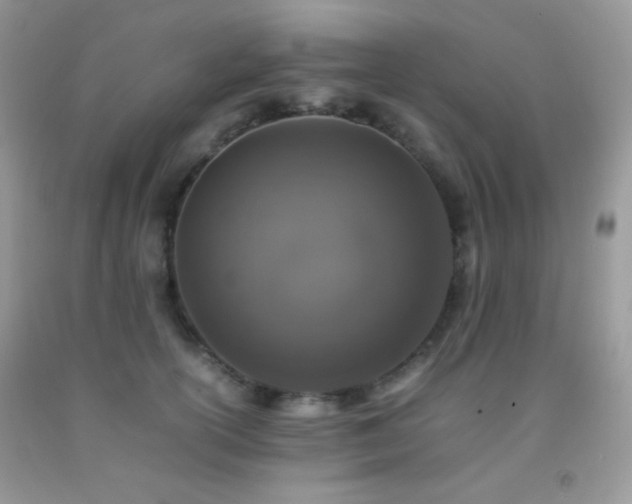 X0000092250754200709141148