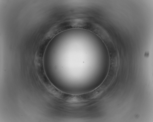 X0000092250755200709141148