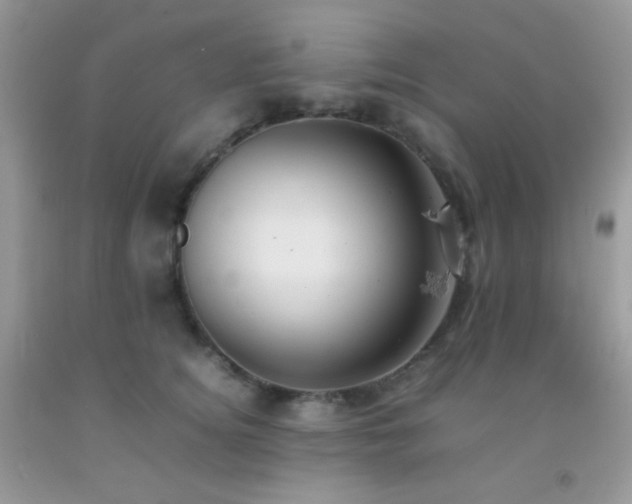 X0000092250756200709141148