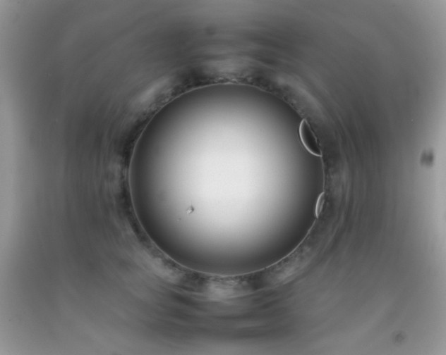 X0000092250757200709141148