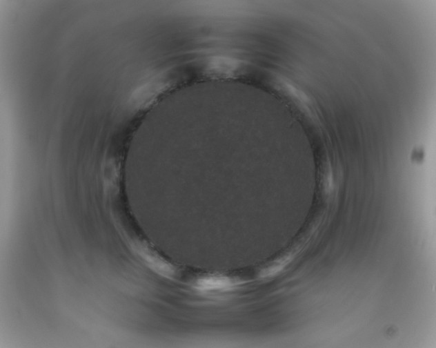 X0000092250759200709141148