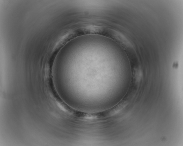 X0000092250760200709141148