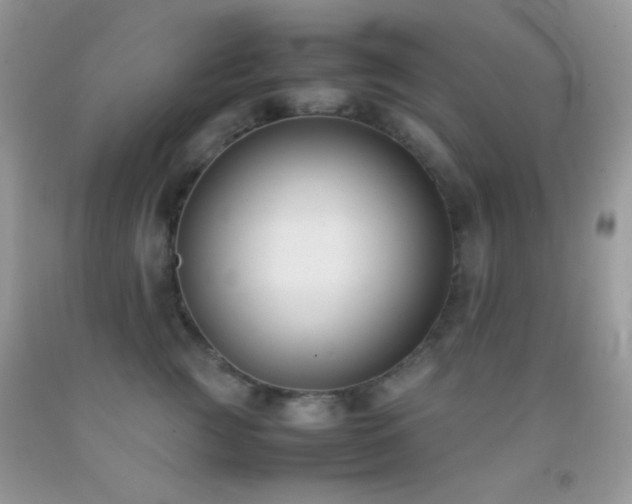 X0000092250761200709141148