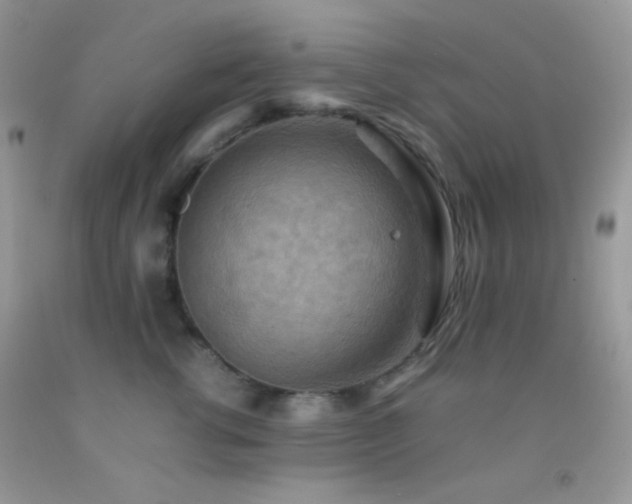 X0000092250762200709141148