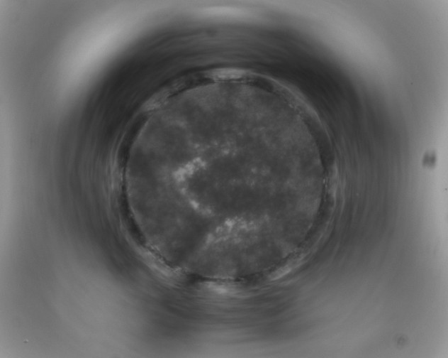 X0000092250763200709141148