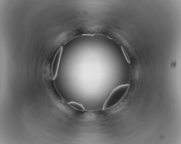 X0000092250764200709141148