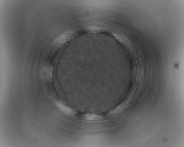X0000092250766200709141148