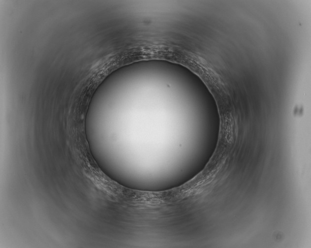 X0000092250770200709141147
