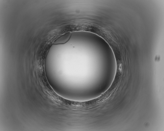 X0000092250771200709141147