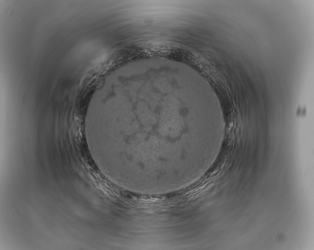 X0000092250772200709141147