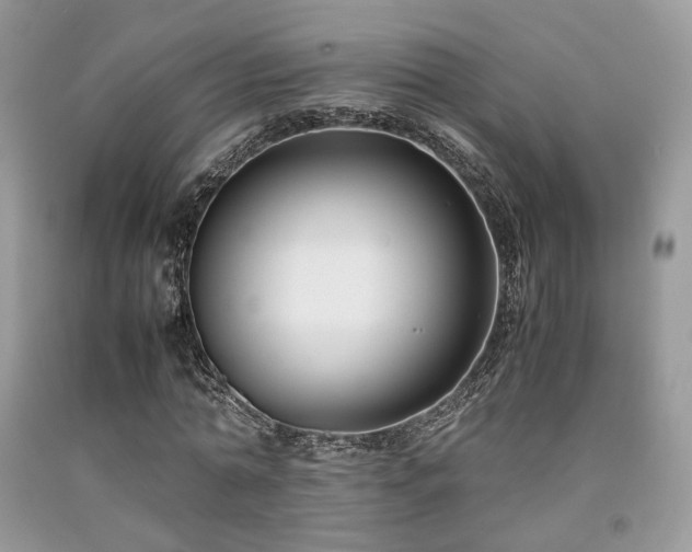 X0000092250774200709141147