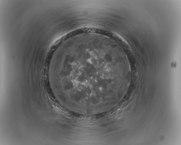 X0000092250775200709141147