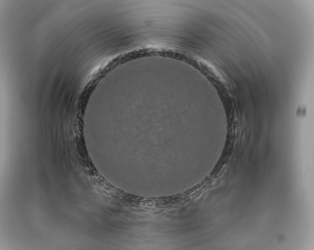 X0000092250776200709141147