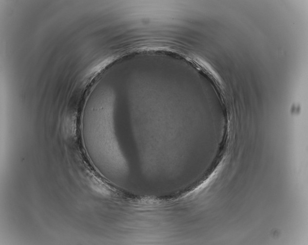 X0000092250777200709141147