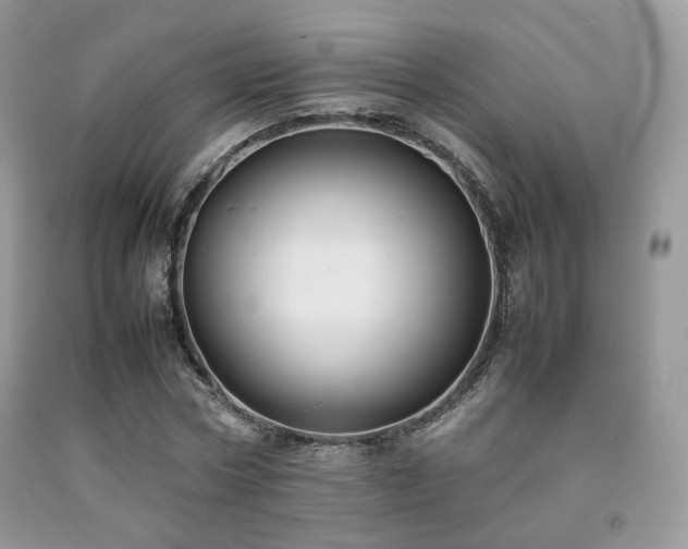 X0000092250778200709141147