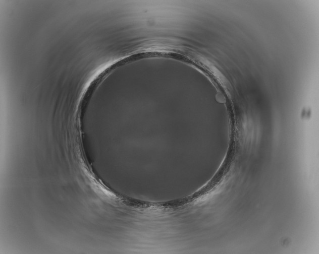 X0000092250779200709141147