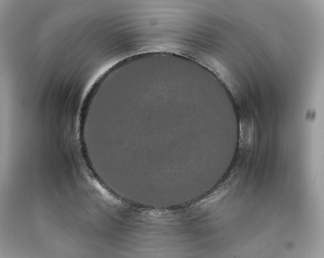 X0000092250780200709141147