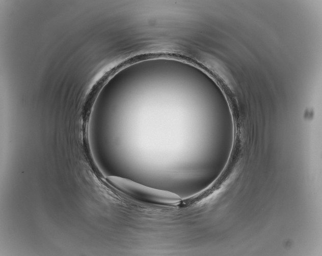 X0000092250781200709141147