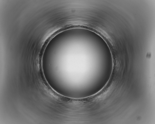 X0000092250782200709141147