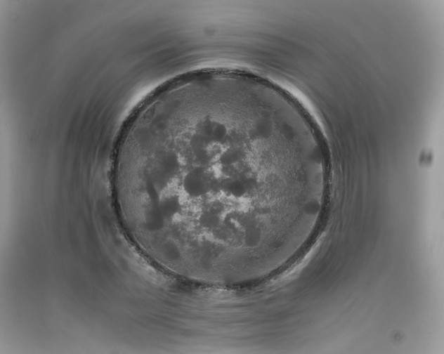 X0000092250783200709141147