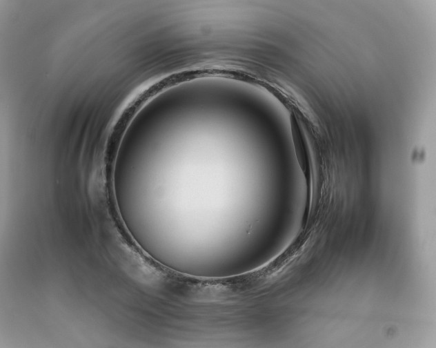 X0000092250784200709141147