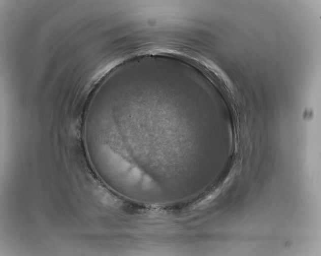 X0000092250785200709141147