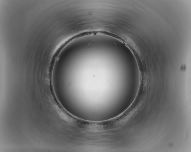 X0000092250789200709141147