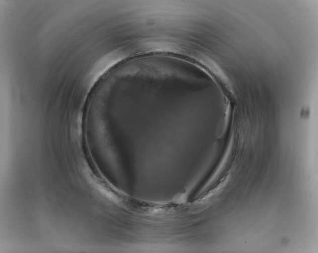 X0000092250790200709141147