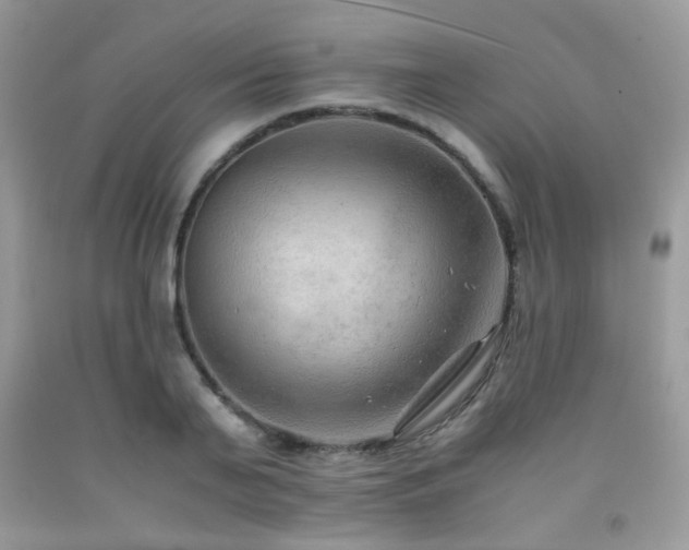 X0000092250791200709141147