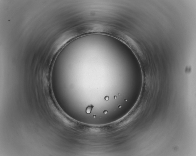 X0000092250794200709141147