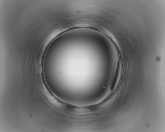 X0000092250795200709141147