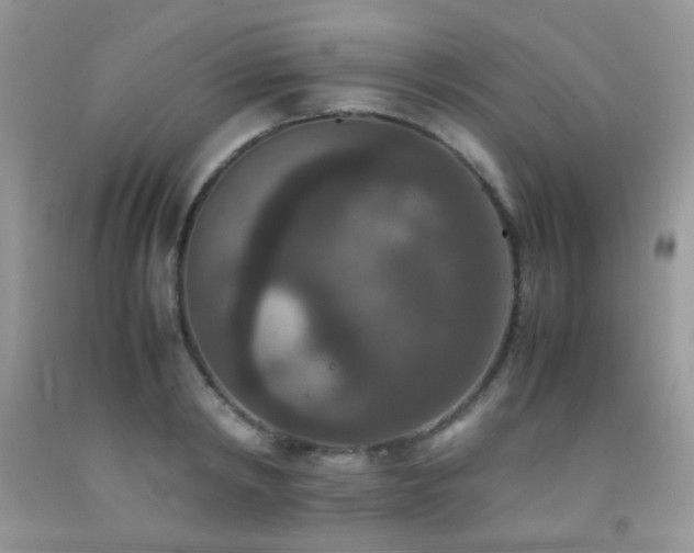 X0000092250798200709141147