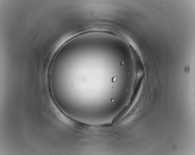 X0000092250803200709141147