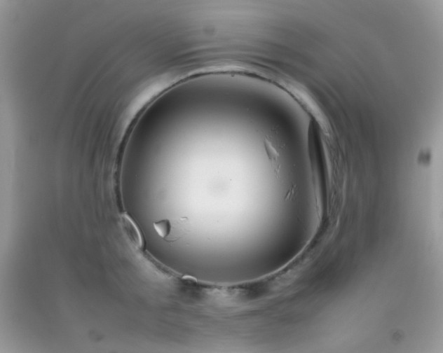 X0000092250805200709141147