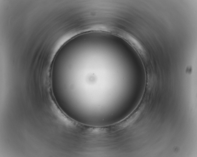 X0000092250808200709141147