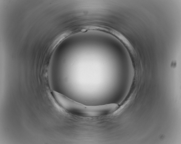 X0000092250809200709141147