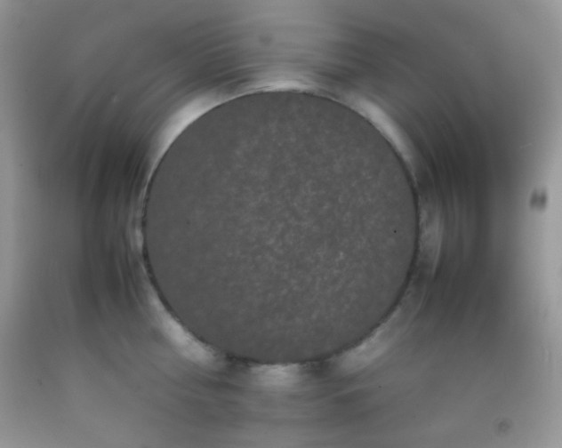 X0000092250810200709141147